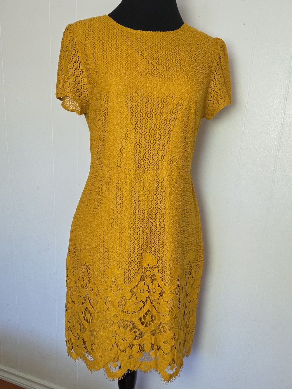 LOFT Mustard Lace Short Sleeve Sheath Dress